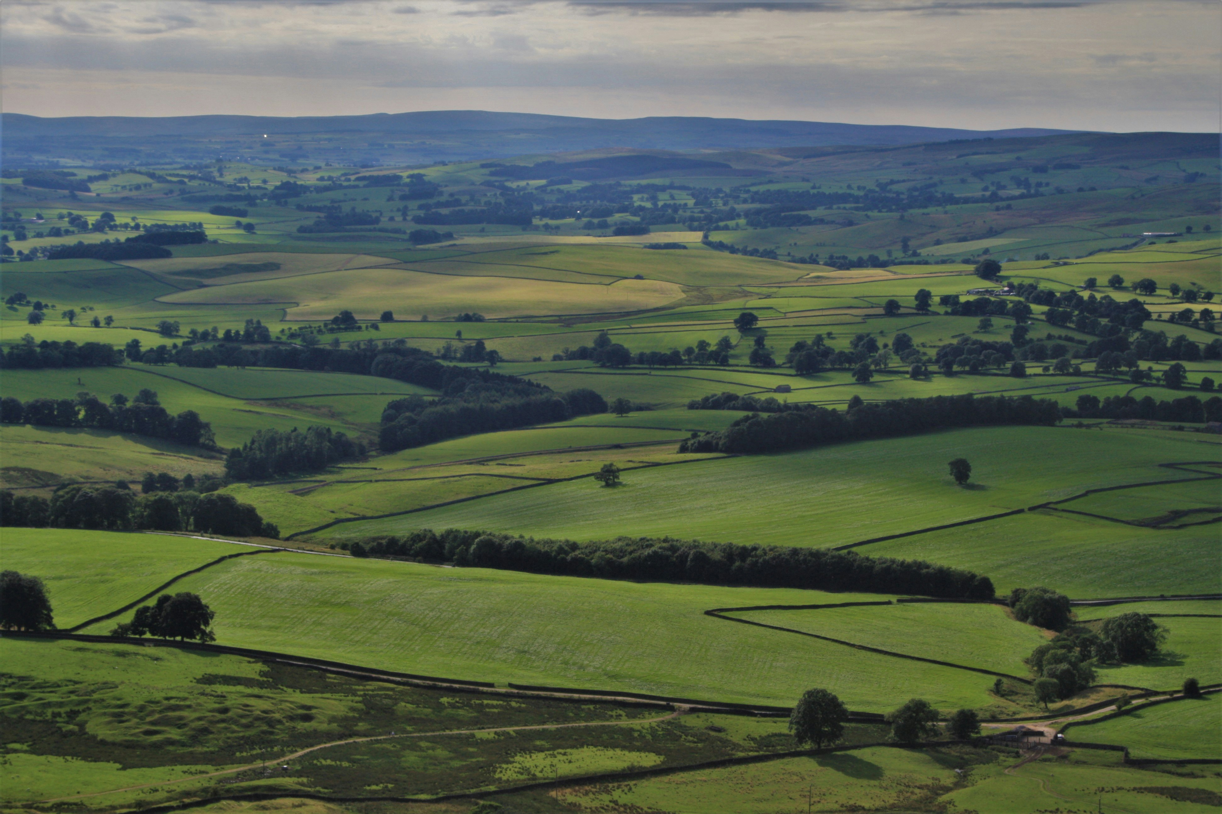 Photo by jam_maxfield