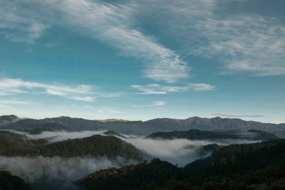 árvores verdes na montanha sob o céu azul durante o dia