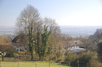A rural landscape featuring a cluster of rustic buildings partially obscured by tall, leafless trees. The scene includes expansive fields in the foreground with wooden fences, and a distant view of a hazy city skyline beyond the horizon under a clear blue sky.