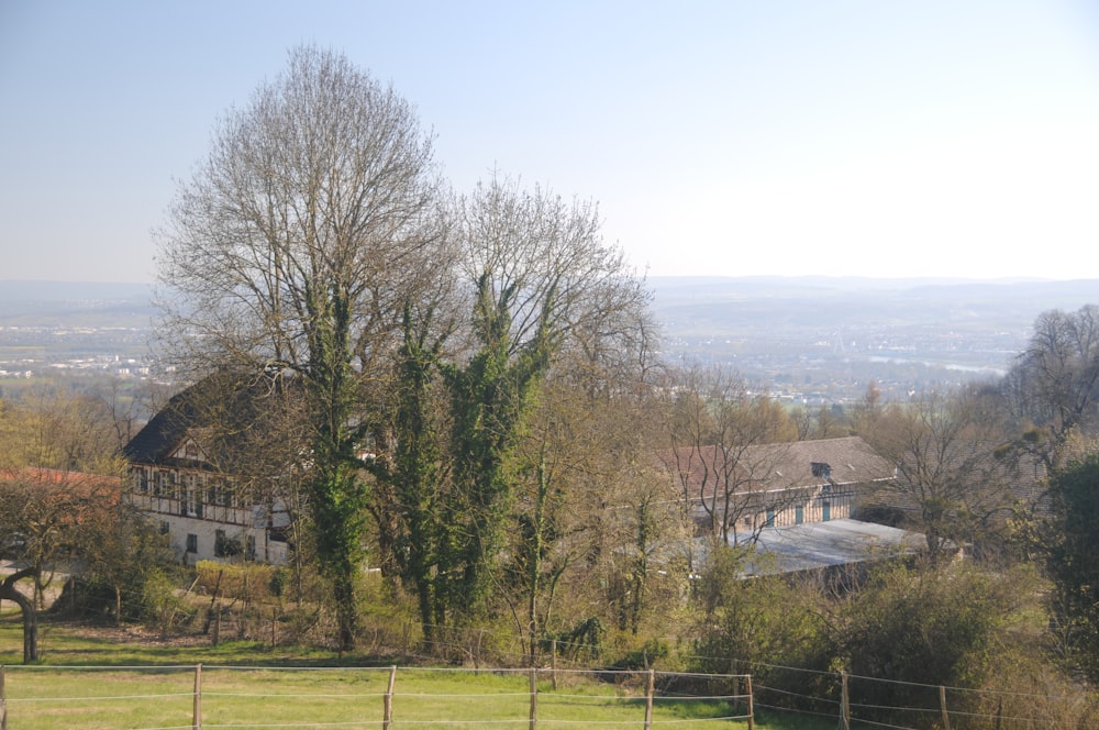 Arbres dénudés sur un champ d’herbe verte près d’un plan d’eau pendant la journée