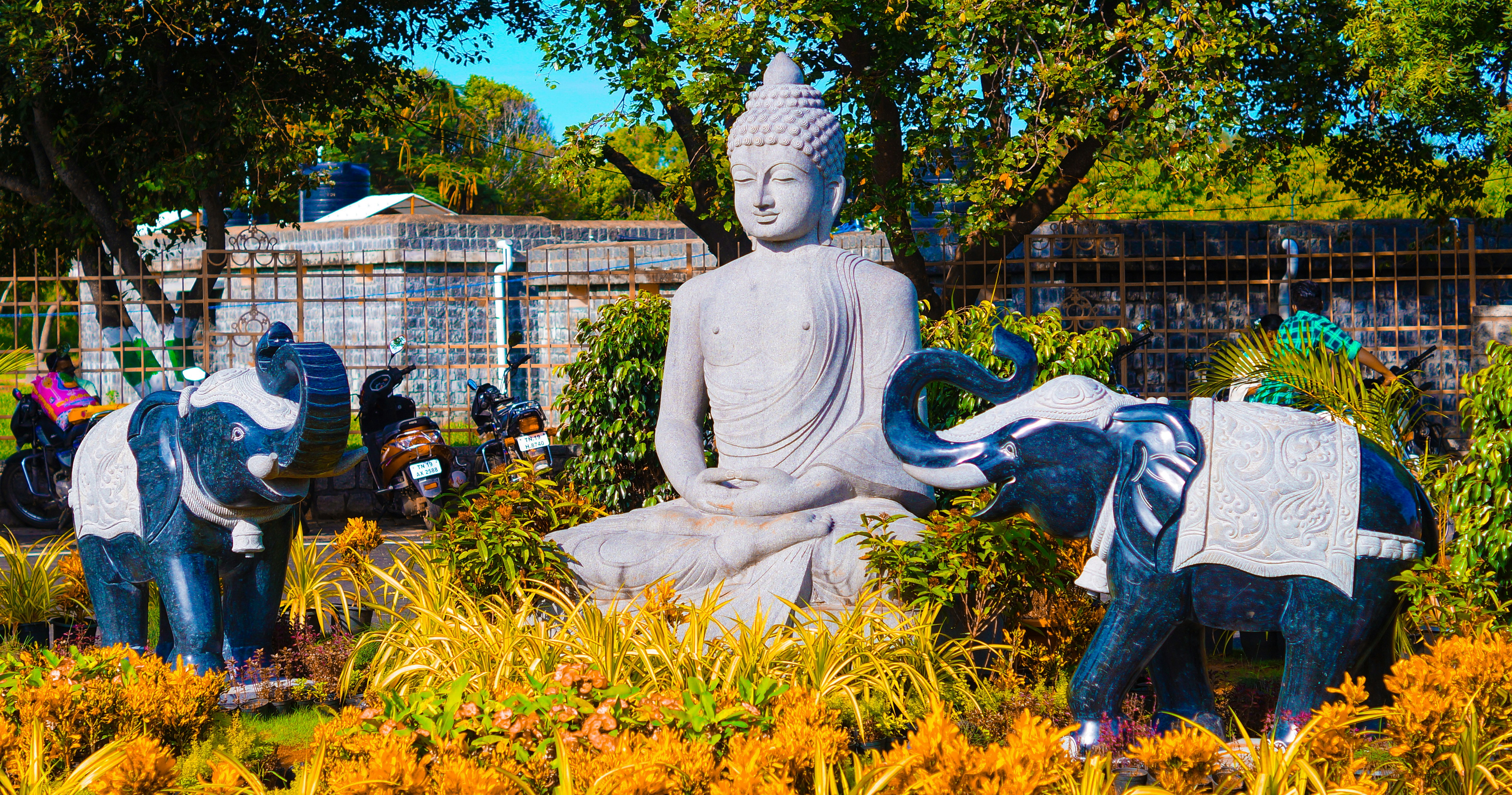 Photo by kingsleyjeb