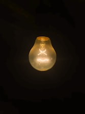 clear light bulb turned on in dark room