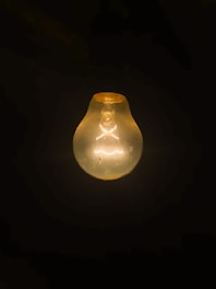 clear light bulb turned on in dark room