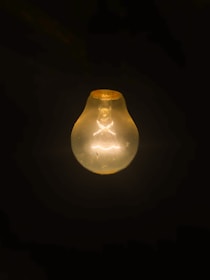 clear light bulb turned on in dark room