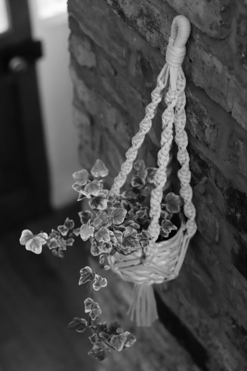 grayscale photo of white flowers in basket