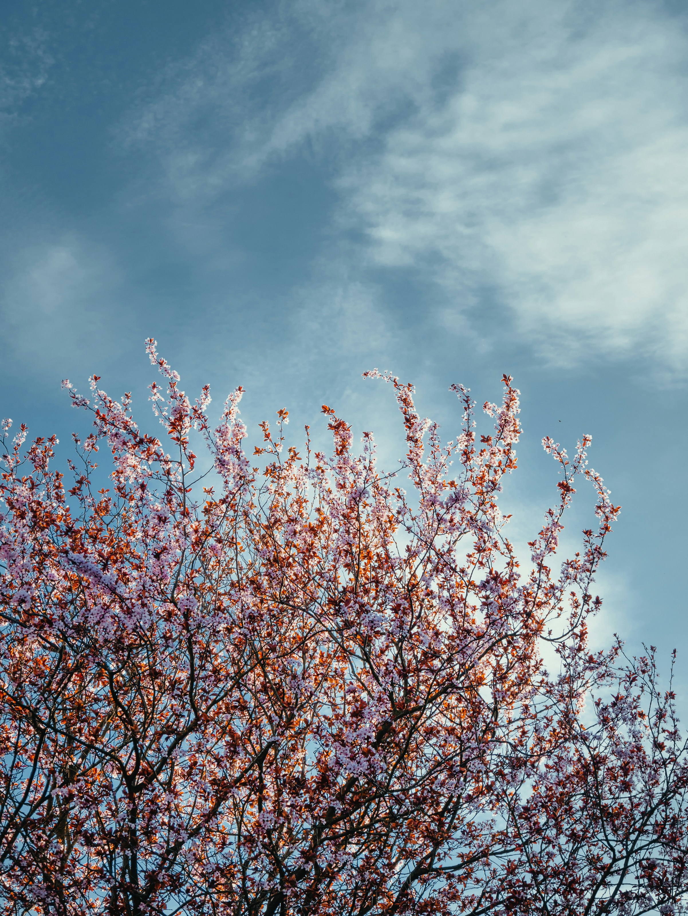 Photo by mohebanwari