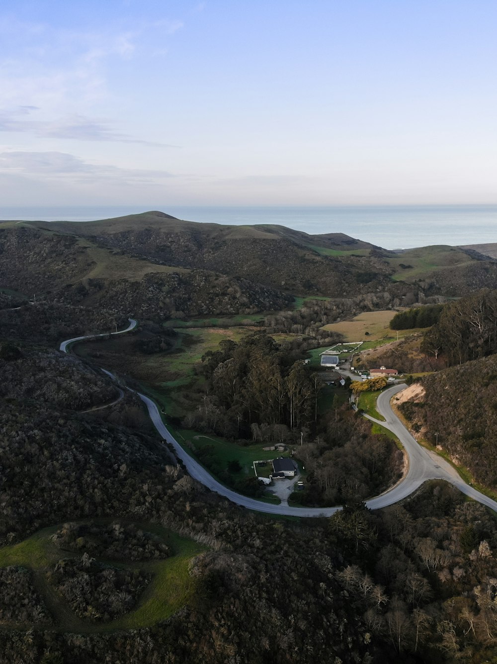 aerial view of green trees and river during daytime