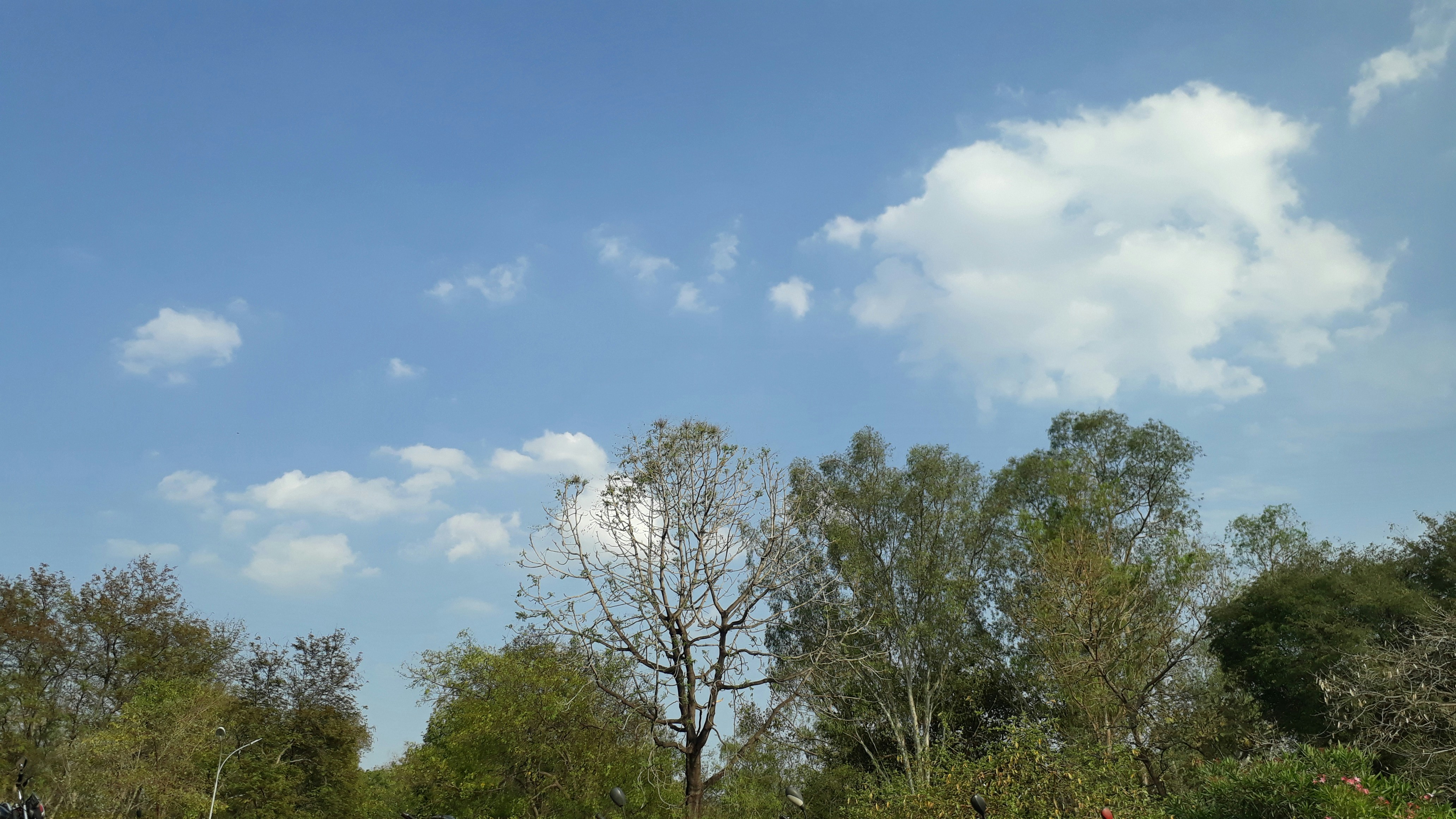 Photo by kunalkumarrit
