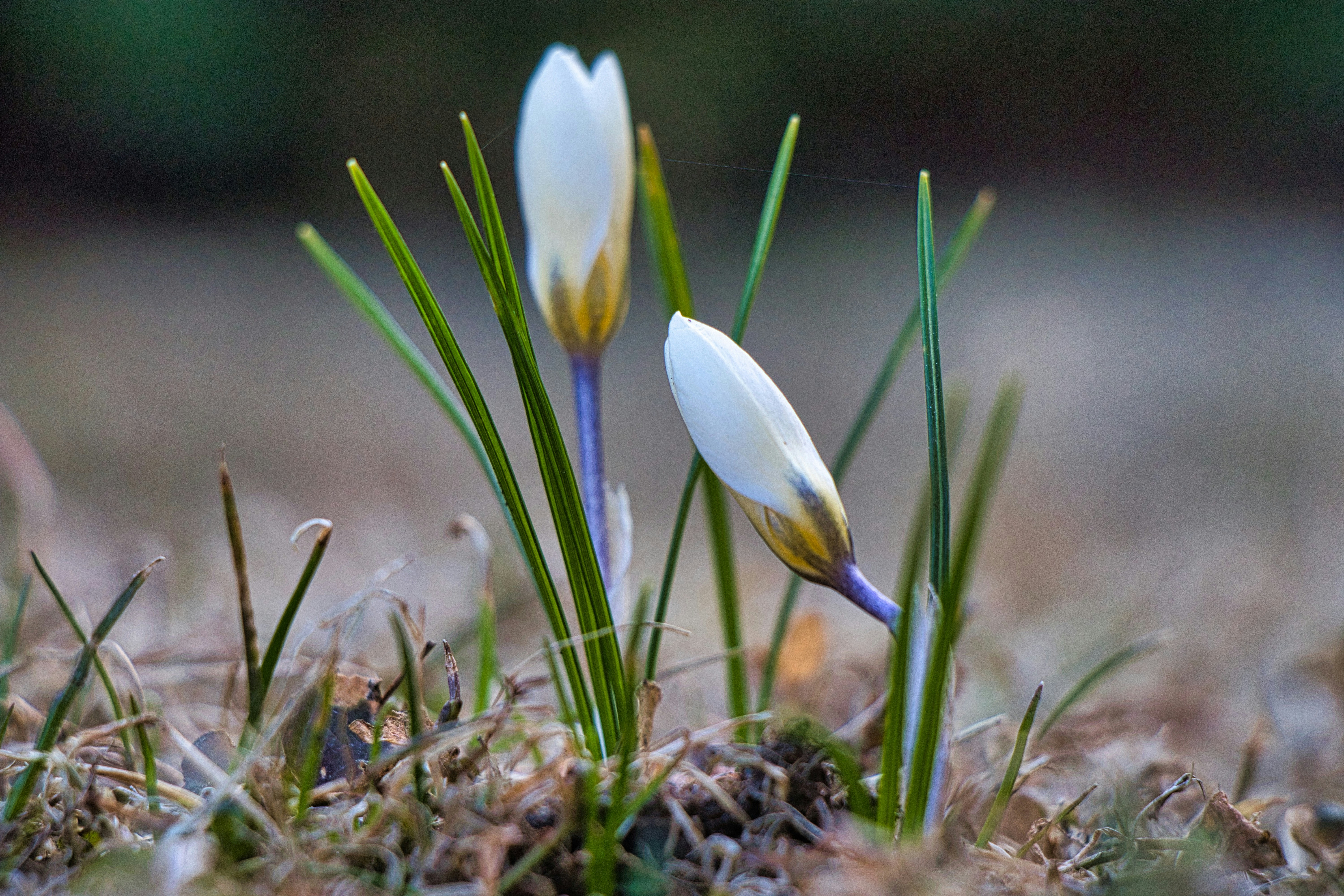 Photo by nextvoyage_pl