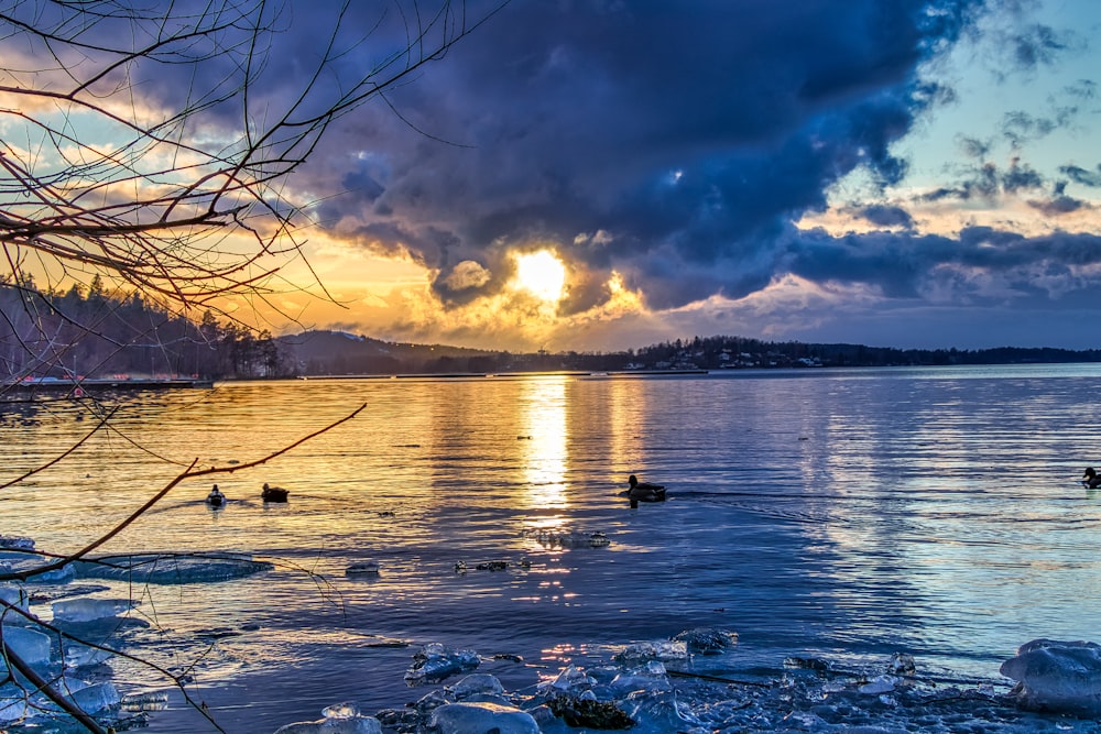 body of water under cloudy sky during daytime