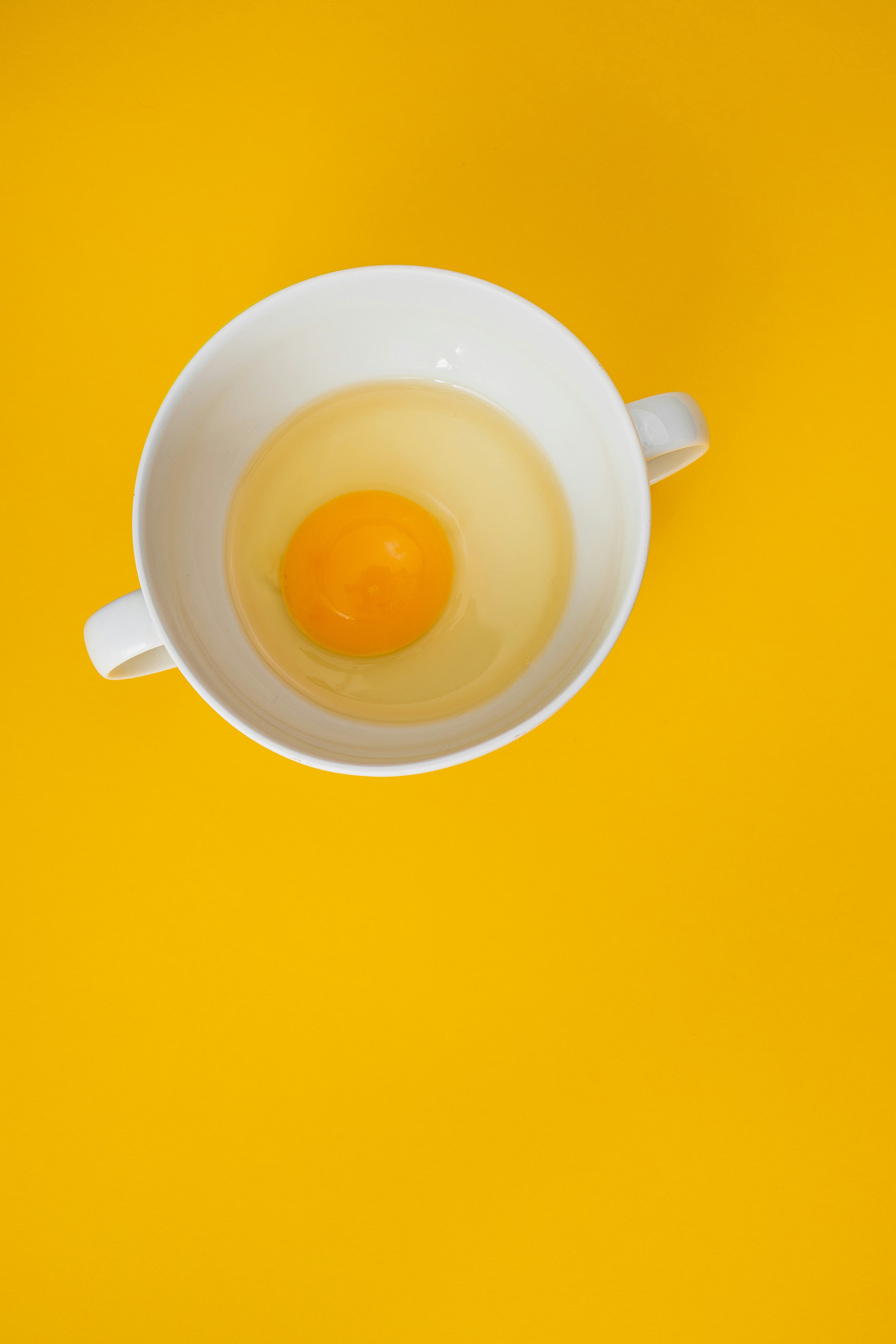 Egg Yolk