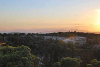 A serene landscape blending Lebanese cedar forests with Brazilian rainforests under a golden sunset.