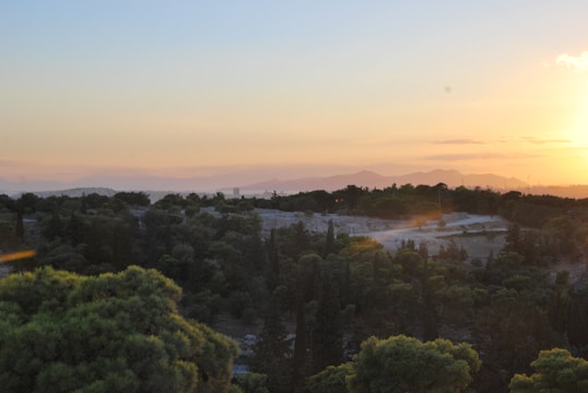 A serene landscape blending Lebanese cedar forests with Brazilian rainforests under a golden sunset.