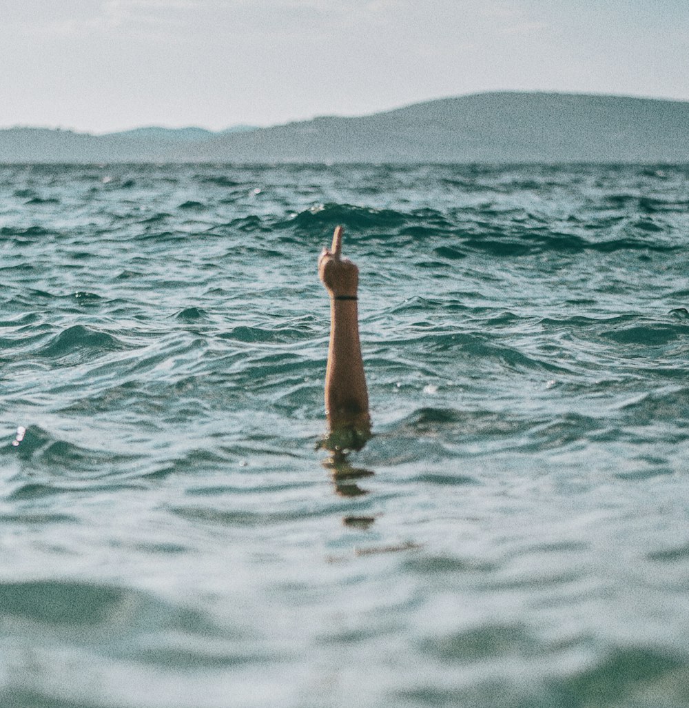 person in water during daytime