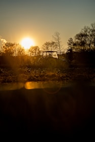 Sunset over a Brazilian plantation with tractors working the land.