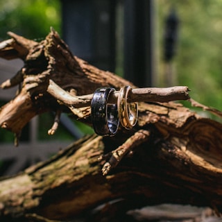 Collection of Gaia Rings displayed on natural wood, highlighting their warm copper tones.