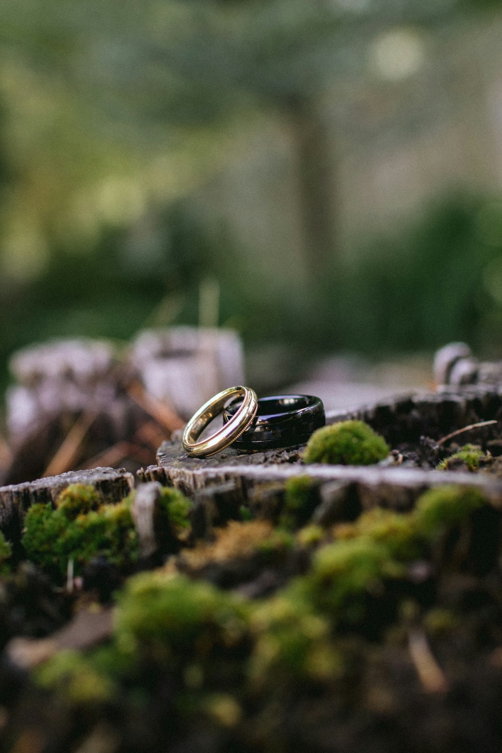 gold ring on green moss
