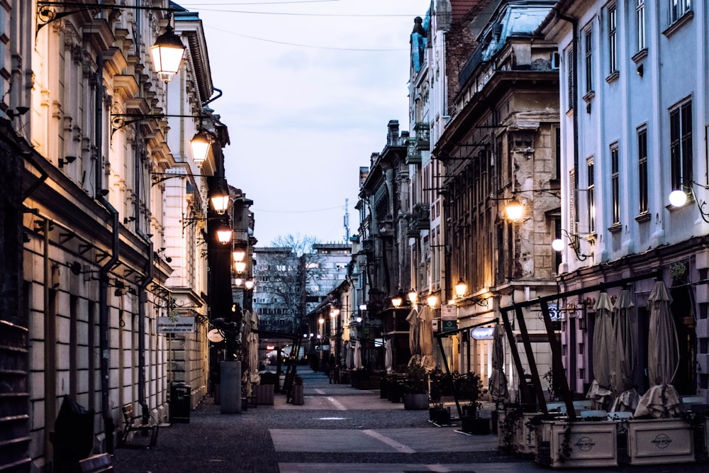 people walking on street during night time