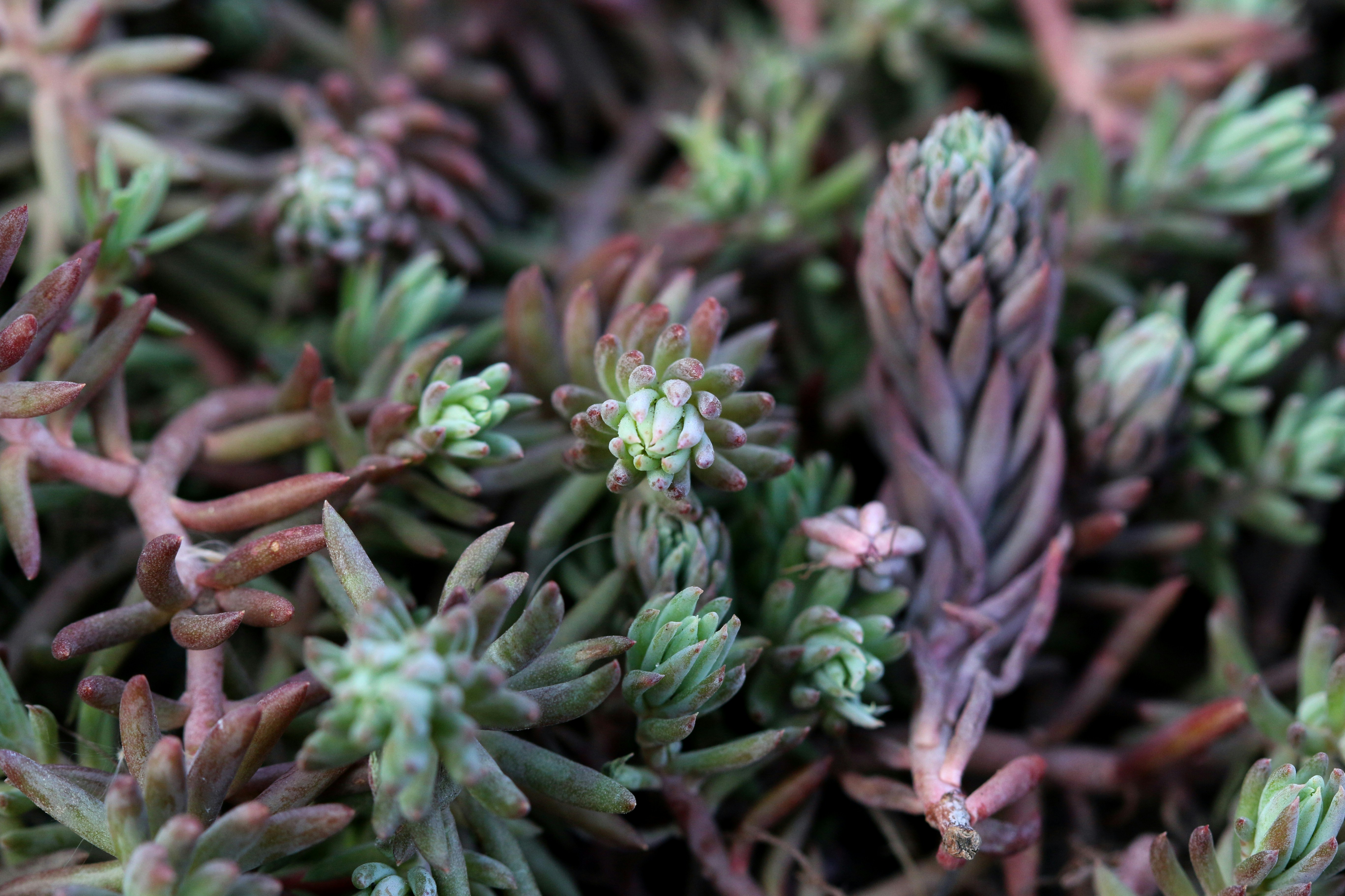 Photo by catrionaobrian