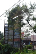A tall wooden signpost partially covered by foliage displays numerous signs for various hotels and resorts. The signs are colorful, with names like Hotel Hermitage and Jungle Resort, indicating a focus on nature-themed accommodations. The area around the signpost is lush with greenery, and a few buildings and bicycles are visible in the background, suggesting a rural or nature-adjacent setting.