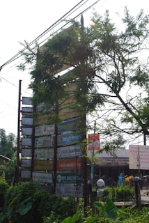 A tall wooden signpost partially covered by foliage displays numerous signs for various hotels and resorts. The signs are colorful, with names like Hotel Hermitage and Jungle Resort, indicating a focus on nature-themed accommodations. The area around the signpost is lush with greenery, and a few buildings and bicycles are visible in the background, suggesting a rural or nature-adjacent setting.