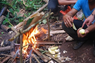 A small campfire surrounded by makeshift supporting sticks is burning. Near the fire, a person is seated, peeling what appears to be a vegetable, possibly bamboo shoots. The ground is covered in leaves and debris, and there is a mix of cut wood and green vegetation around.