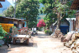 A peaceful village pathway lined with blooming flowers and rustic huts.