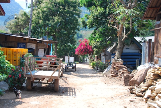 A rural village path lined with tall trees and small wooden structures. A wooden cart is parked on the dirt road, next to stacked firewood. Bright pink flowers and lush greenery create a vibrant, natural setting under a clear sky.
