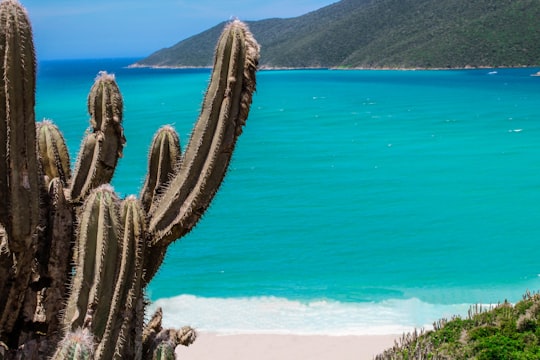 Access to Pontal do Atalaia Prainha things to do in Arraial do Cabo