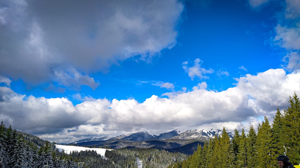 green trees and mountains under blue sky and white clouds during daytime