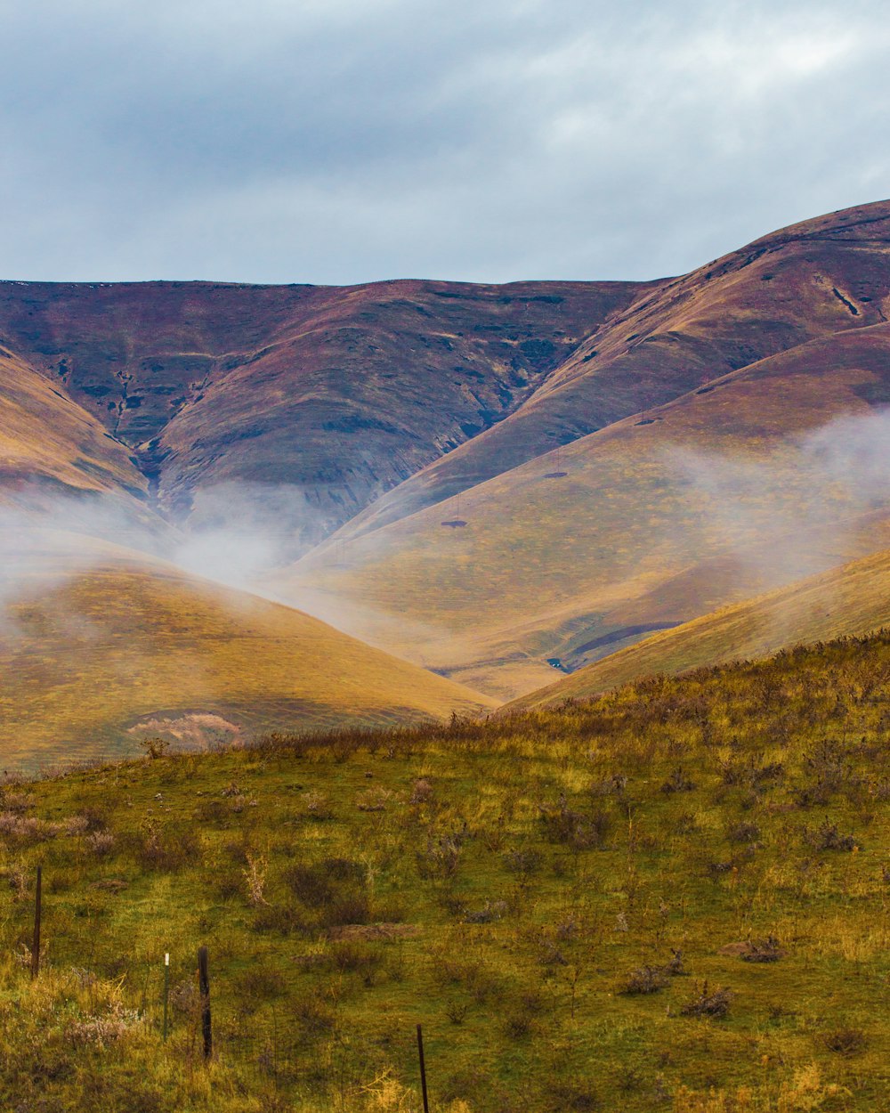 green grass field and brown mountains during daytime