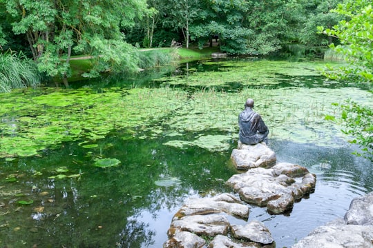 man in gray hoodie sitting on rock near river during daytime in County Kildare Ireland