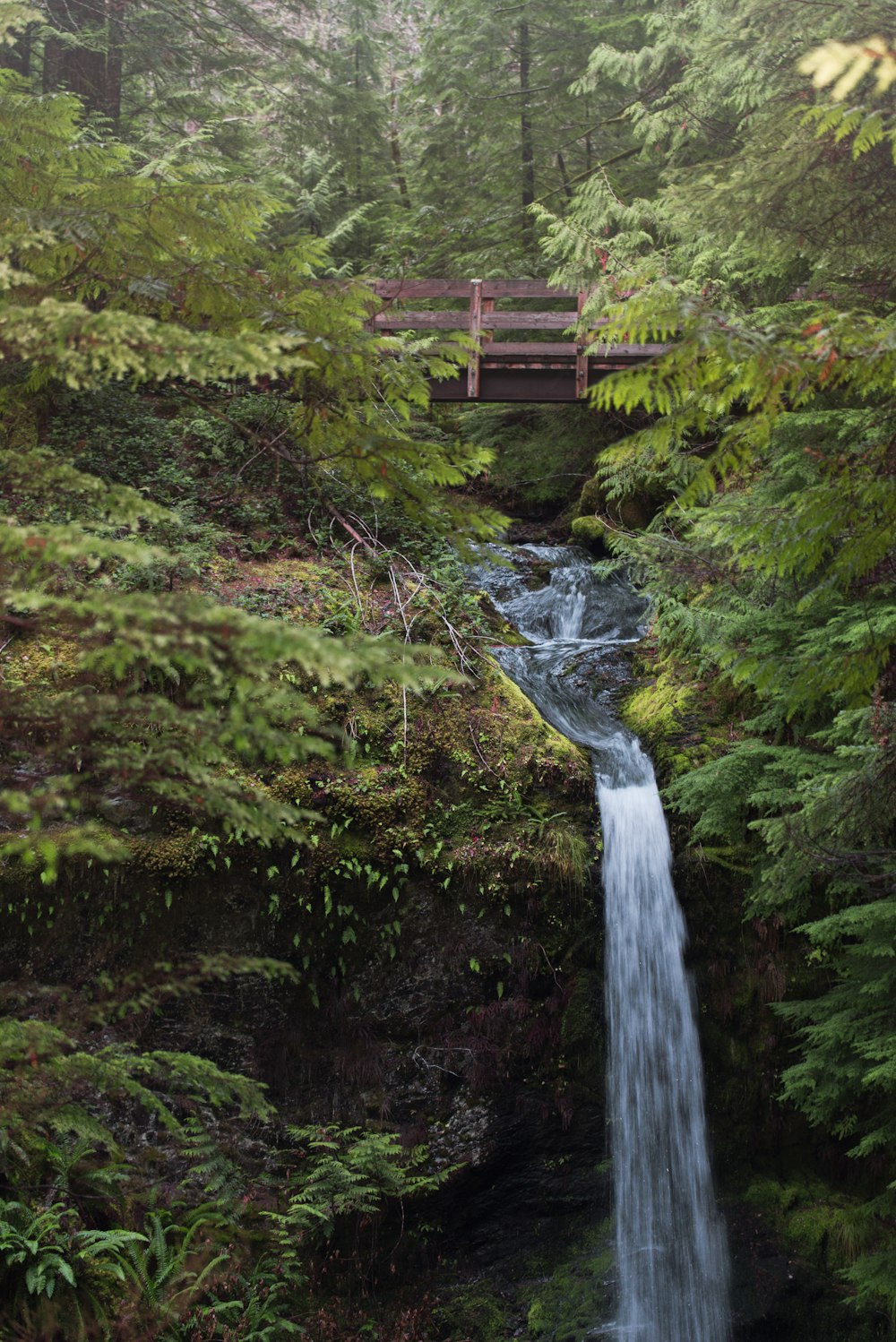 brown wooden bridge over waterfalls