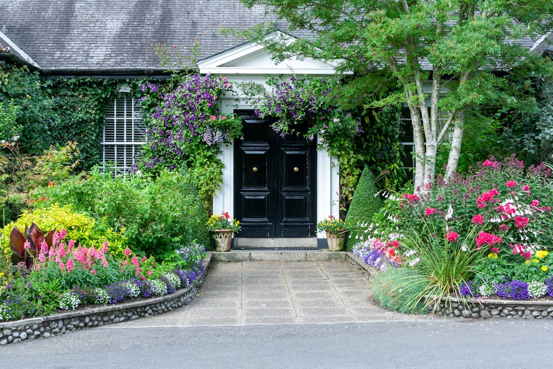 green and purple trees beside gray concrete house