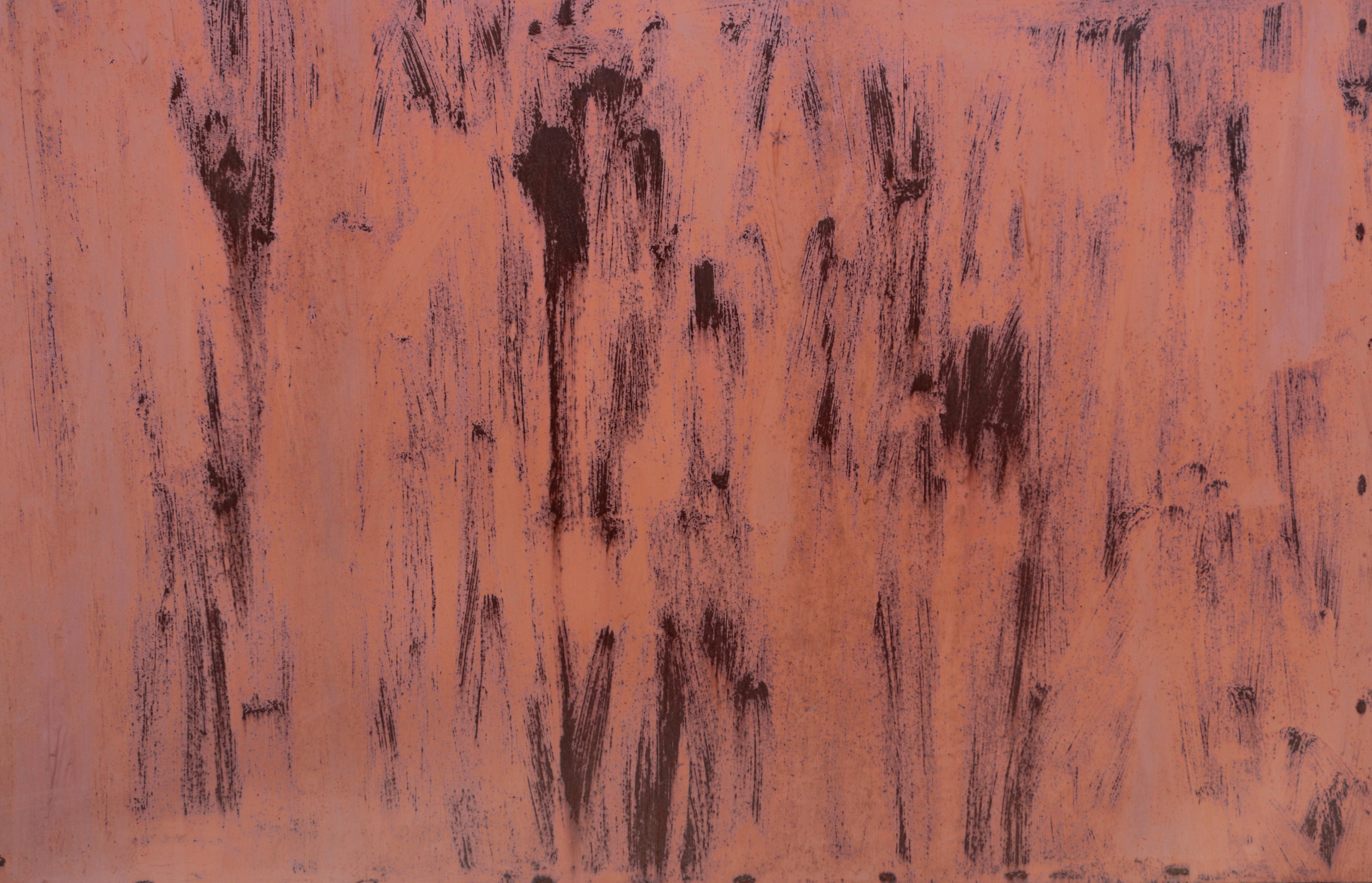 Photo by catrionaobrian