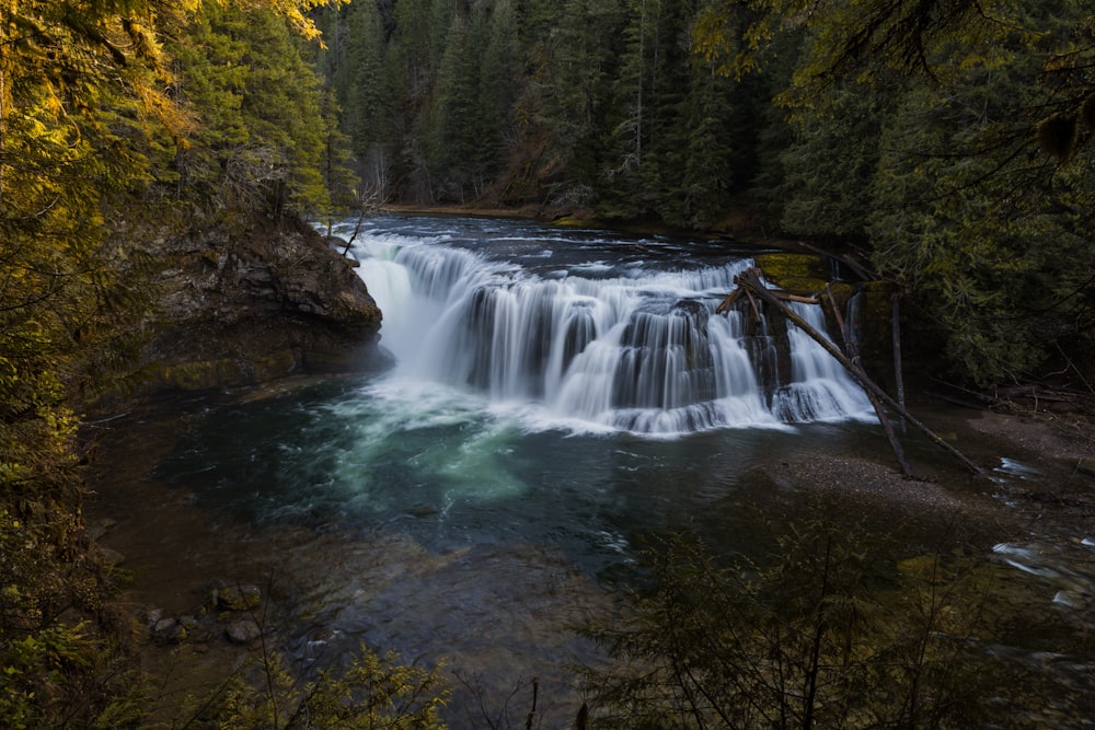 water falls in the middle of forest during daytime