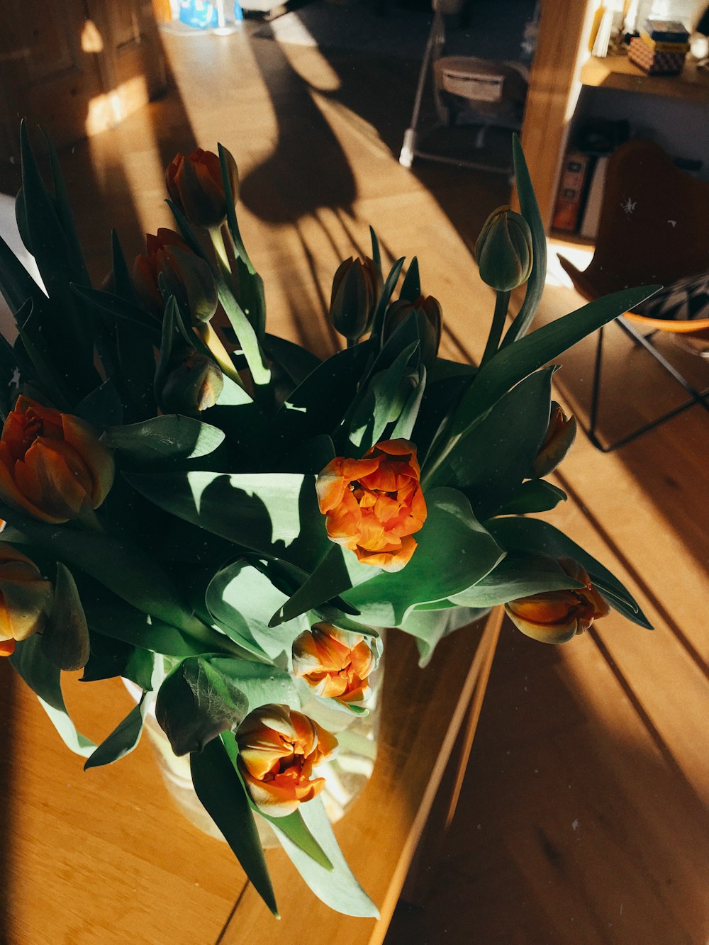 green and orange flower on brown wooden table