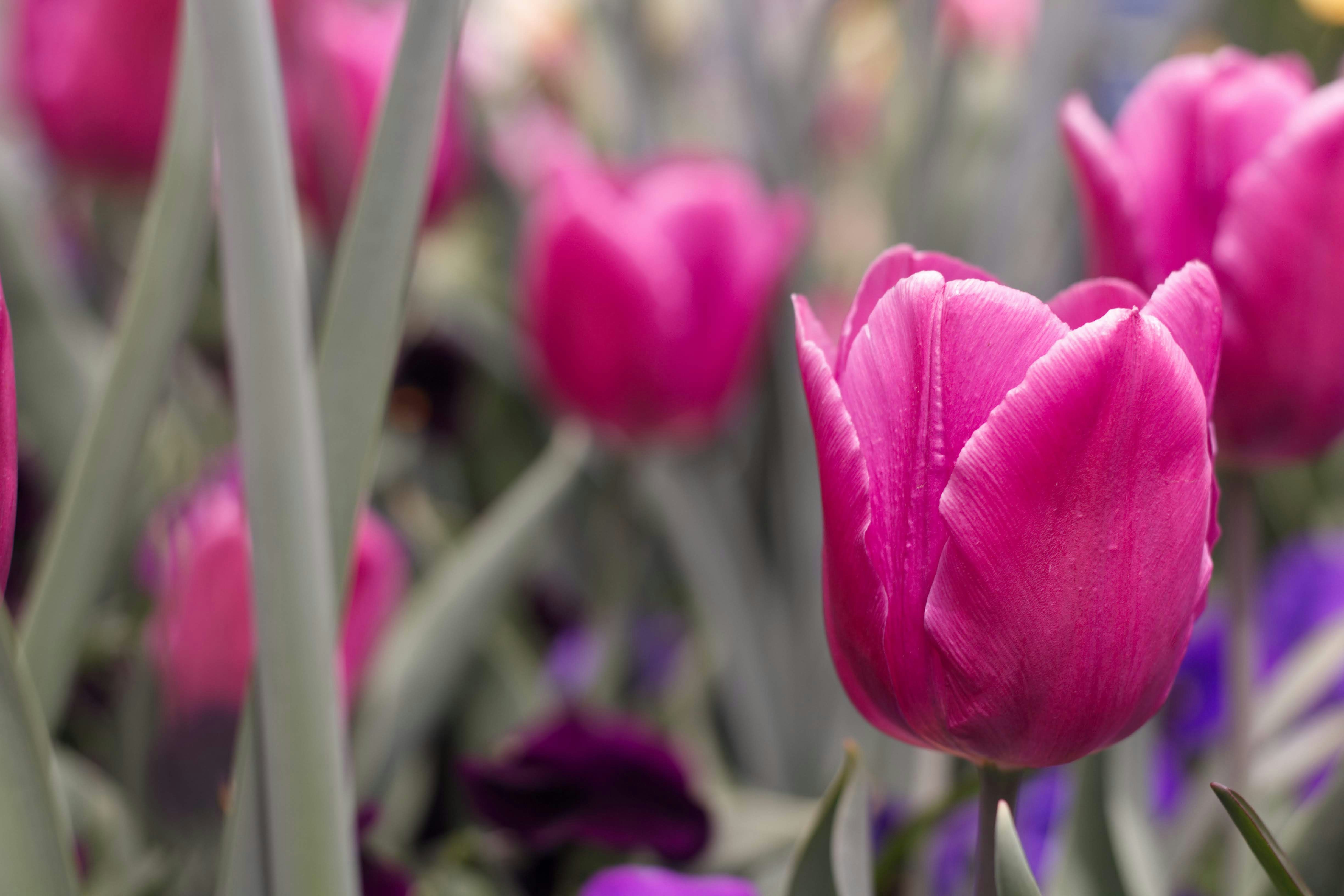 Photo by joshua_hoehne