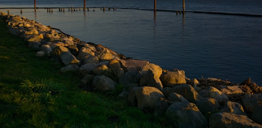 brown rocks on green grass near body of water during daytime in Steveston Canada
