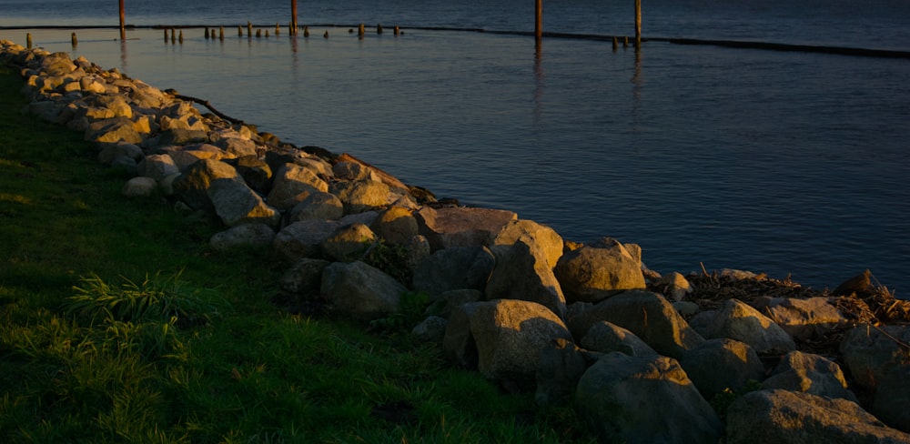 brown rocks on green grass near body of water during daytime