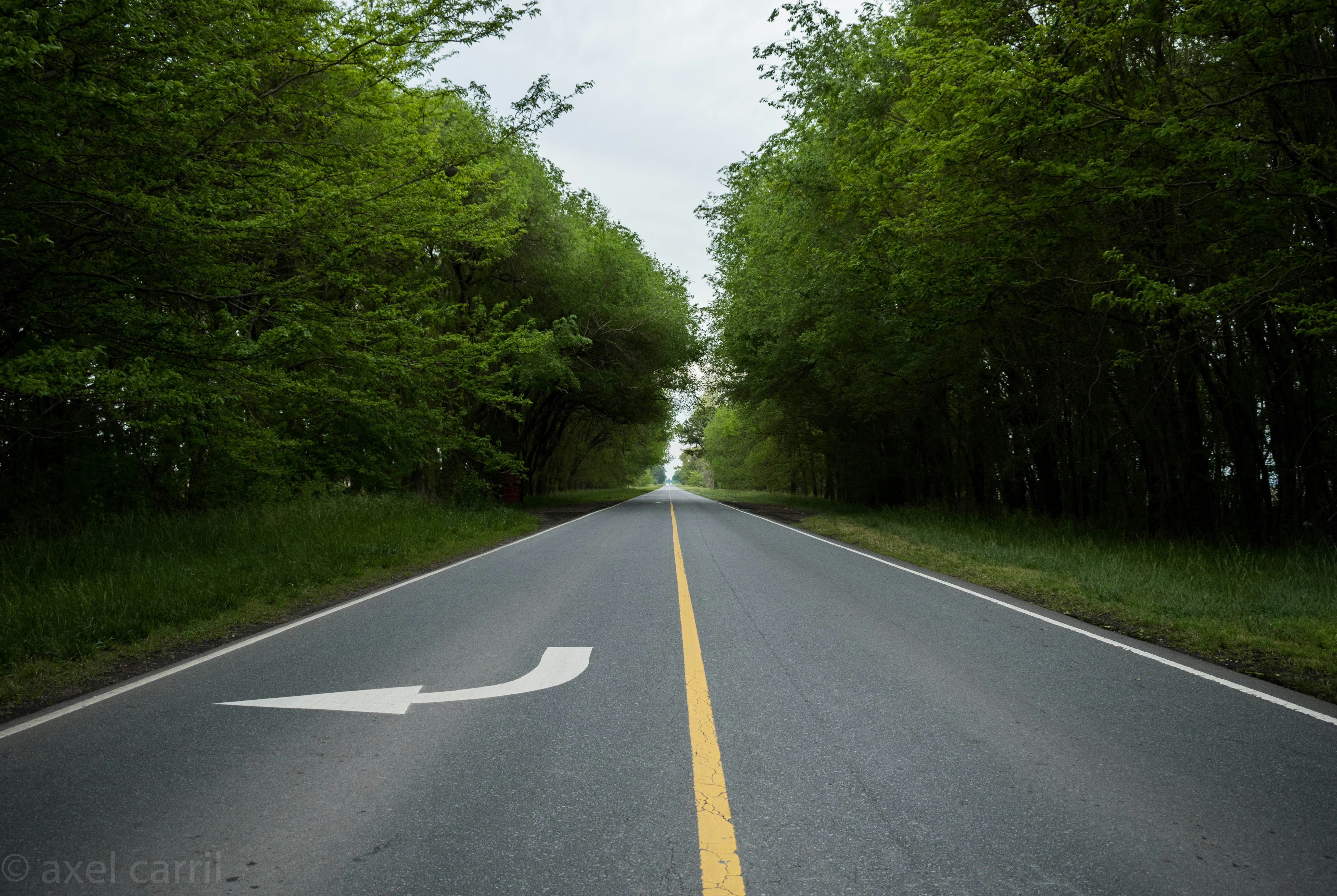 Photo by axelncarril