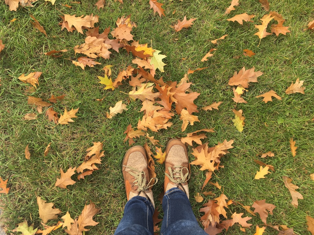 person in blue denim jeans and brown leather shoes standing on dried leaves