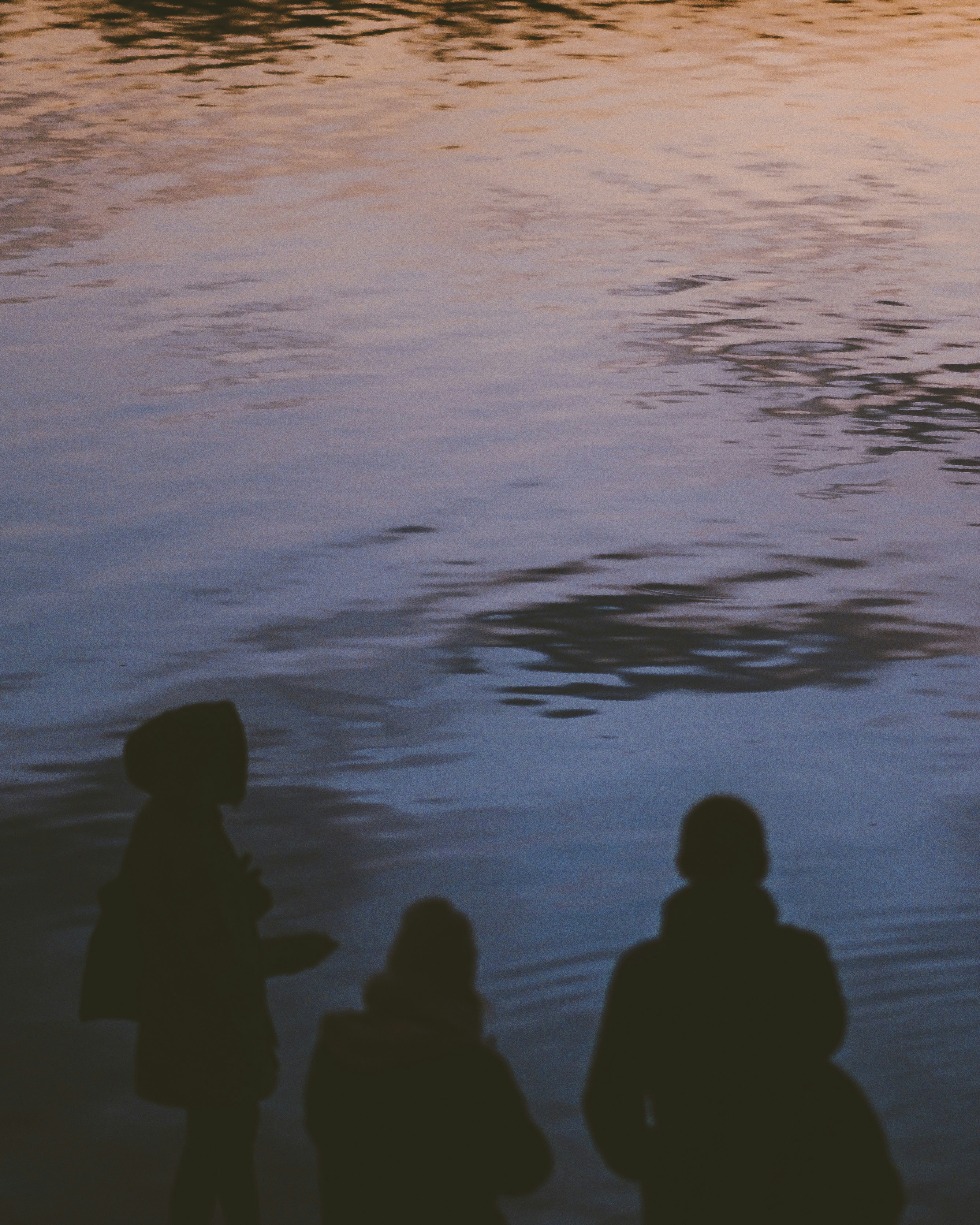 Photo by wonderland8