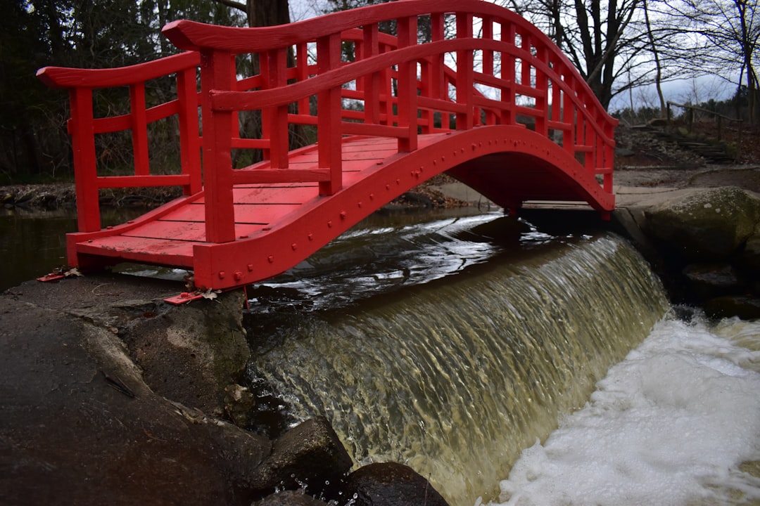 red wooden bridge over river