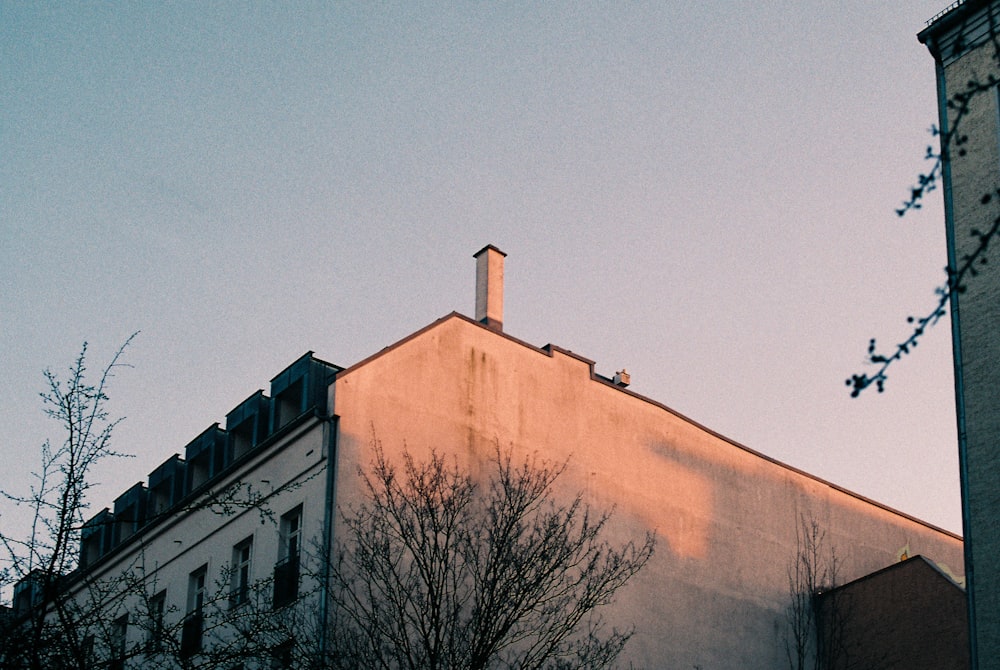 bare trees beside brown concrete building