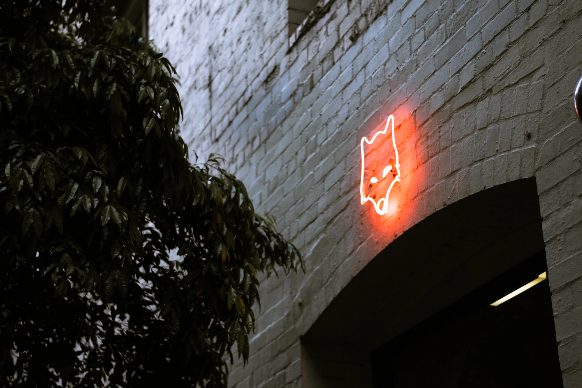 woman wearing yellow long-sleeved dress under white clouds and blue sky during daytime