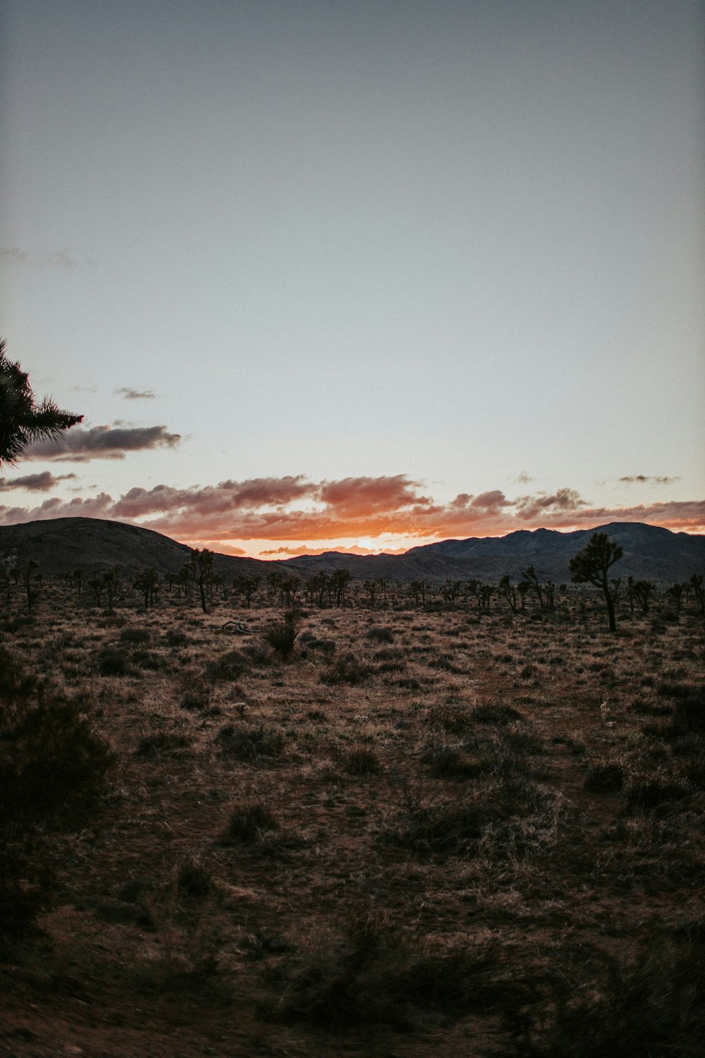 campo de grama marrom perto da montanha durante o dia