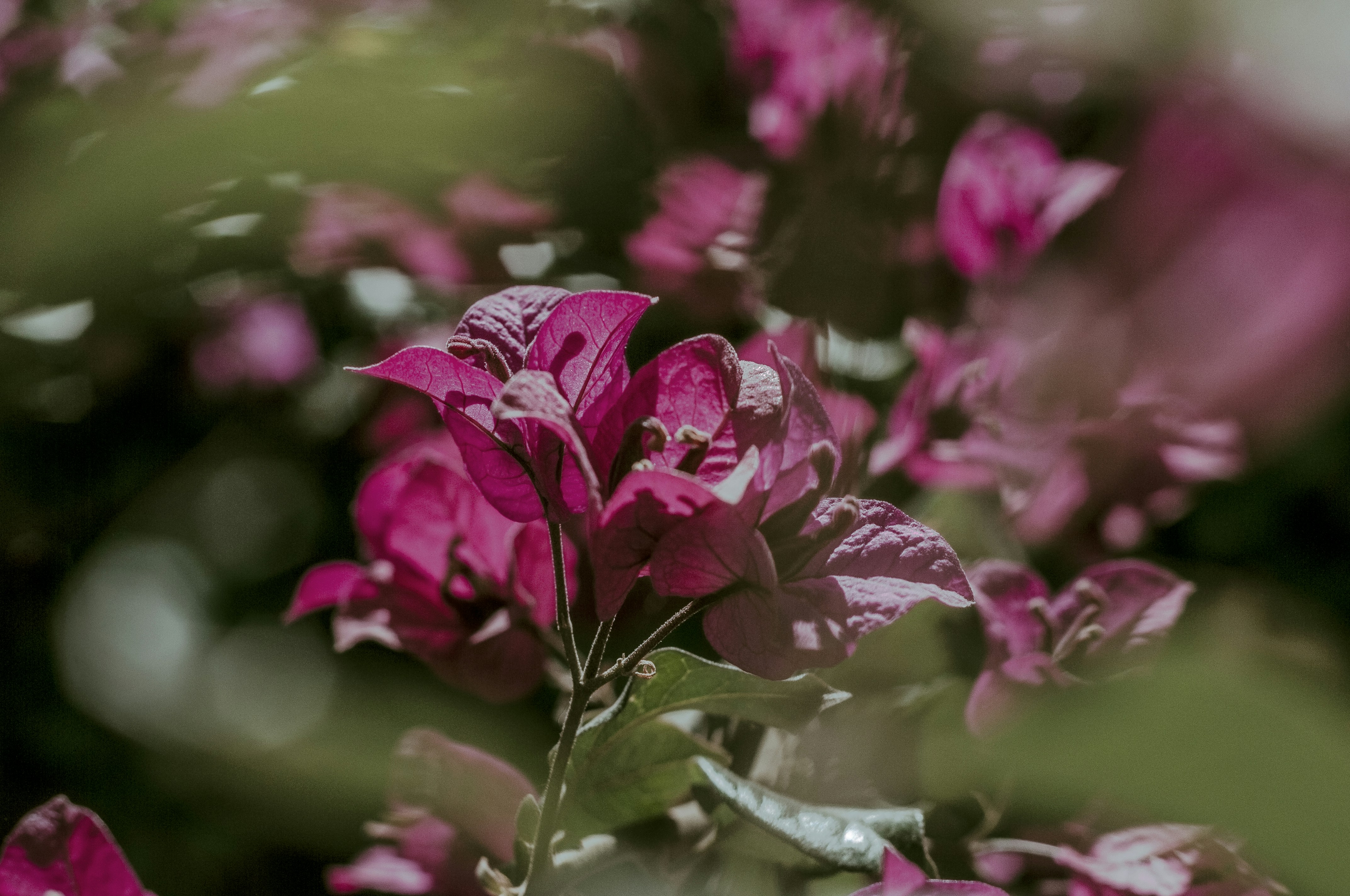 Photo by alexthehills