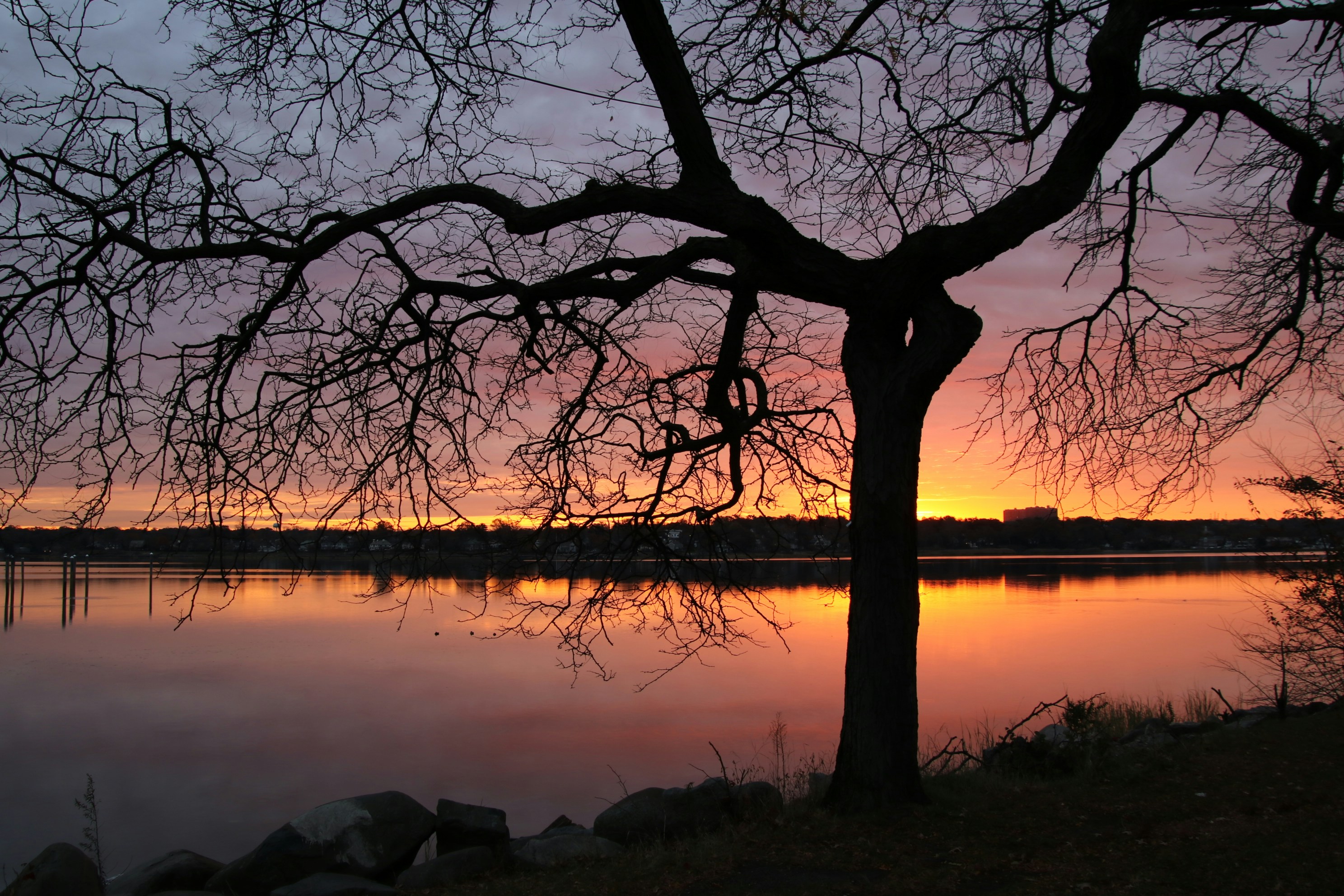 Photo by zeeman_photos63