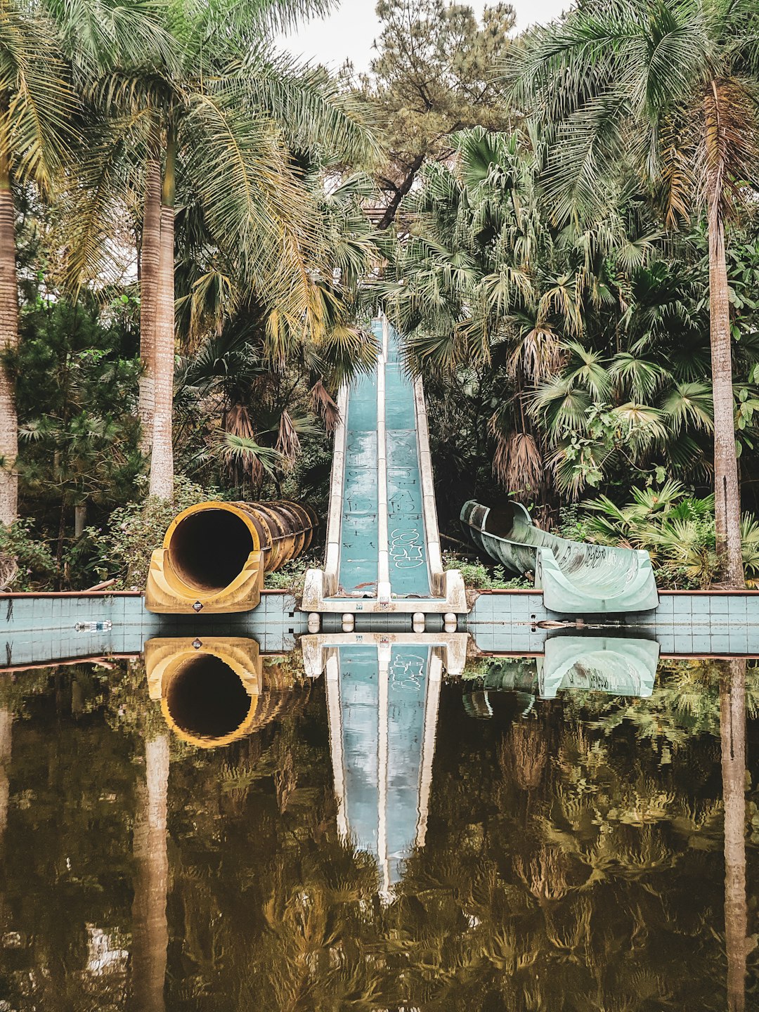 travelers stories about Forest in Hue, Vietnam